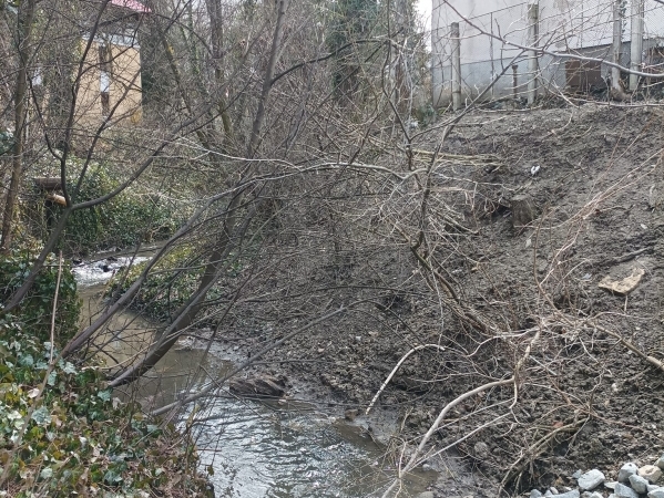 Pârâul Popii, afluent al Someșului, care se varsă în Canalul Morii, poate să devină cel mai mare parc liniar și un culoar de mobilitate important pentru Cluj!