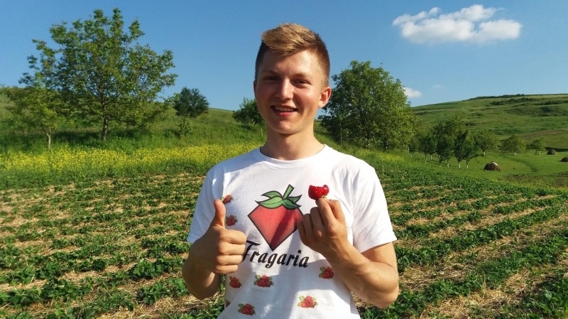 Povestea lui Dragoș Mărchiș, studentul care îndulcește România cu fructe naturale